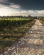 Common Road runs across the Wine Yard